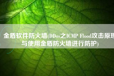金盾软件防火墙(DDos之ICMP Flood攻击原理与使用金盾防火墙进行防护)