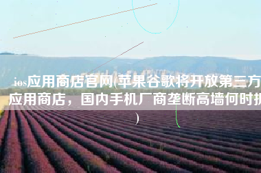 ios应用商店官网(苹果谷歌将开放第三方应用商店，国内手机厂商垄断高墙何时拆)