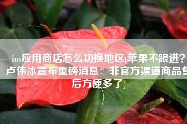 ios应用商店怎么切换地区(苹果不跟进？卢伟冰宣布重磅消息：非官方渠道商品售后方便多了)