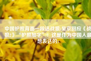 中国护照背面一段话战狼(吴京回应《战狼2》“护照加字”：这是作为中国人最想表达的)