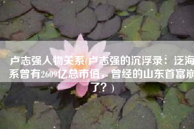 卢志强人物关系(卢志强的沉浮录：泛海系曾有2609亿总市值，曾经的山东首富崩了？)