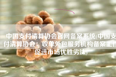 中国支付清算协会官网备案系统(中国支付清算协会：收单外包服务机构备案工作促进市场优胜劣汰)