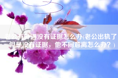 老公有外遇没有证据怎么办(老公出轨了，但是没有证据，他不同意离怎么办？)