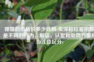 嫖娼的市场价多少钱啊(卖淫和拉客招嫖是不同的行为，取证、认定和处罚方面应当注意区分)
