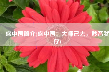盛中国简介(盛中国：大师已去，妙音犹存)