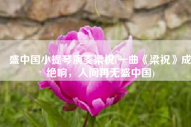 盛中国小提琴演奏梁祝(一曲《梁祝》成绝响，人间再无盛中国)