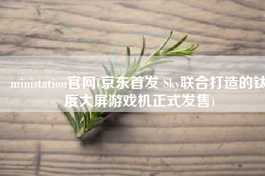 ministation官网(京东首发 Sky联合打造的钛度大屏游戏机正式发售)
