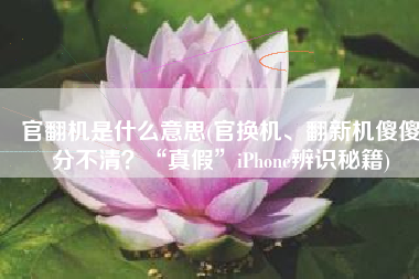 官翻机是什么意思(官换机、翻新机傻傻分不清？“真假”iPhone辨识秘籍)
