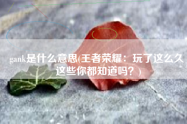 gank是什么意思(王者荣耀：玩了这么久 这些你都知道吗？)