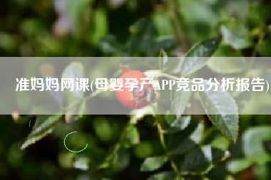 准妈妈网课(母婴孕产APP竞品分析报告)