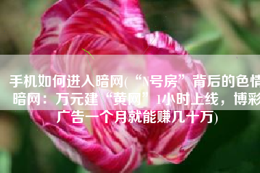 手机如何进入暗网(“N号房”背后的色情暗网：万元建“黄网”1小时上线，博彩广告一个月就能赚几十万)