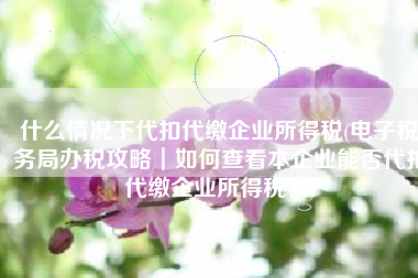 什么情况下代扣代缴企业所得税(电子税务局办税攻略┃如何查看本企业能否代扣代缴企业所得税？)