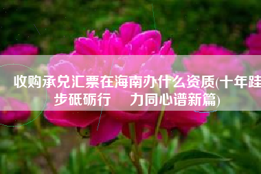 收购承兑汇票在海南办什么资质(十年跬步砥砺行 勠力同心谱新篇)