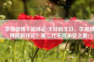 李湘微博不能评论(王诗龄生日，李湘微博限制评论？星二代不可承受之重)