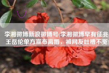 李湘微博新浪微博号(李湘微博早有征兆，王岳伦单方宣布离婚，被网友吐槽不冤)