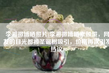 李湘微博晒照片(李湘微博晒素颜照，网友的目光都被圣诞树吸引，价格再次引发热议)