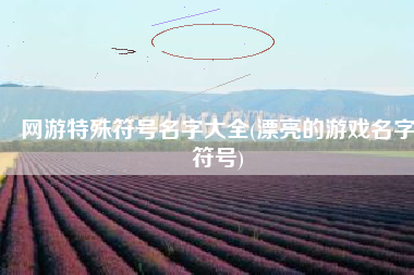 网游特殊符号名字大全(漂亮的游戏名字符号)