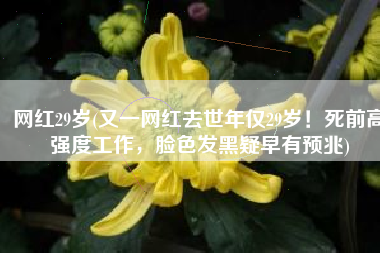 网红29岁(又一网红去世年仅29岁！死前高强度工作，脸色发黑疑早有预兆)