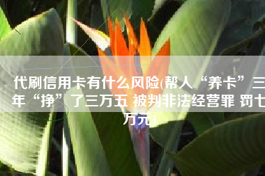 代刷信用卡有什么风险(帮人“养卡”三年“挣”了三万五 被判非法经营罪 罚七万元)