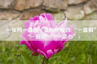 一张网一盘棋一条心一股劲(“一盘棋”“一股劲”“一条心”)