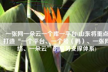 一张网一朵云一个库一平台(山东将重点打造“一个平台、一个号（码）、一张网络、一朵云”的服务支撑体系)