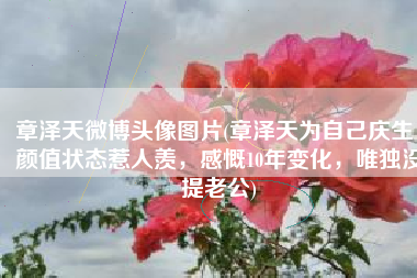 章泽天微博头像图片(章泽天为自己庆生，颜值状态惹人羡，感慨10年变化，唯独没提老公)