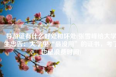 导游证有什么好处和坏处(张雪峰给大学生忠告：大学里“最没用”的证书，考了也是浪费时间)