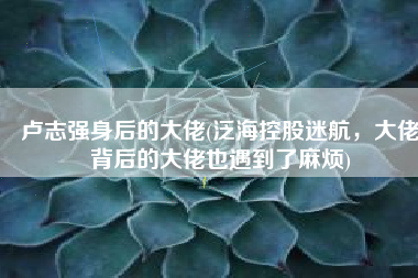 卢志强身后的大佬(泛海控股迷航，大佬背后的大佬也遇到了麻烦)