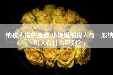 纳税人指的是谁(小规模纳税人与一般纳税人有什么区别？)