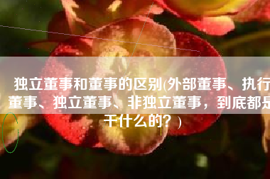 独立董事和董事的区别(外部董事、执行董事、独立董事、非独立董事，到底都是干什么的？)