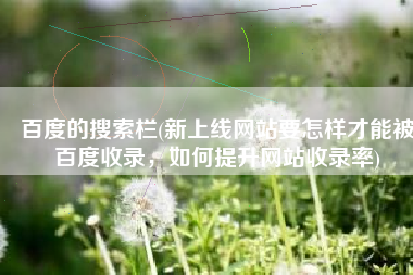 百度的搜索栏(新上线网站要怎样才能被百度收录，如何提升网站收录率)
