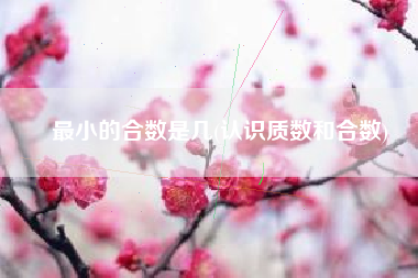最小的合数是几(认识质数和合数)