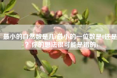 最小的自然数是几(最小的一位数是0还是1？你的想法很可能是错的)