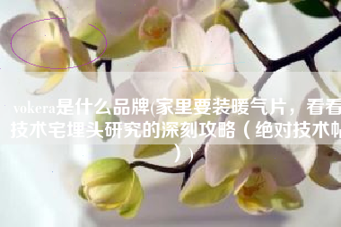 vokera是什么品牌(家里要装暖气片，看看技术宅埋头研究的深刻攻略（绝对技术帖）)