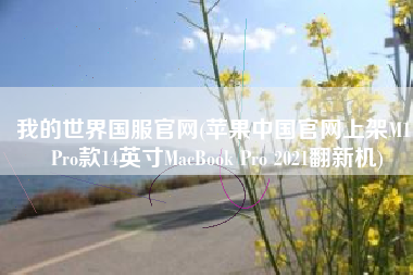 我的世界国服官网(苹果中国官网上架M1 Pro款14英寸MacBook Pro 2021翻新机)