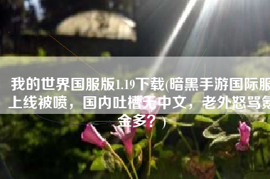 我的世界国服版1.19下载(暗黑手游国际服上线被喷，国内吐槽无中文，老外怒骂氪金多？)