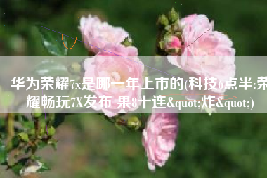 华为荣耀7x是哪一年上市的(科技6点半:荣耀畅玩7X发布 果8十连"炸")