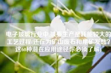 电子玻璃行业中,玻壳生产是耗能较大的工艺过程(还在为矿山废石和尾矿发愁？这60种潜在应用途径你必须了解)