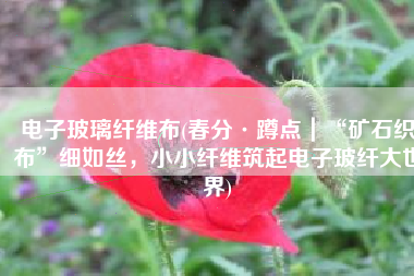 电子玻璃纤维布(春分·蹲点｜“矿石织布”细如丝，小小纤维筑起电子玻纤大世界)