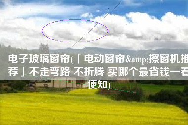 电子玻璃窗帘(「电动窗帘&擦窗机推荐」不走弯路 不折腾 买哪个最省钱一看便知)