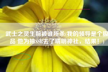 武士之灵生前被谁所杀(我的领导是个极品 他为抽SSR去了晴明神社，结果！)