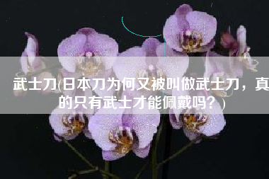 武士刀(日本刀为何又被叫做武士刀，真的只有武士才能佩戴吗？)