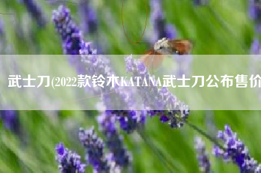 武士刀(2022款铃木KATANA武士刀公布售价)