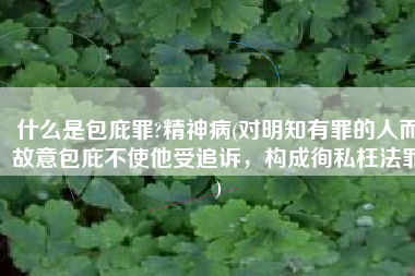 什么是包庇罪?精神病(对明知有罪的人而故意包庇不使他受追诉，构成徇私枉法罪)