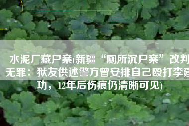 水泥厂藏尸案(新疆“厕所沉尸案”改判无罪：狱友供述警方曾安排自己殴打李建功，12年后伤痕仍清晰可见)