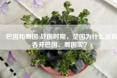 巴国和蜀国(战国时期，楚国为什么没有吞并巴国、蜀国呢？)