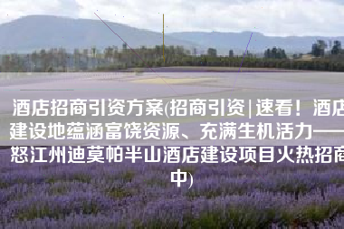 酒店招商引资方案(招商引资|速看！酒店建设地蕴涵富饶资源、充满生机活力——怒江州迪莫帕半山酒店建设项目火热招商中)