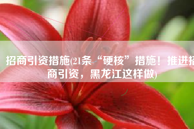 招商引资措施(21条“硬核”措施！推进招商引资，黑龙江这样做)