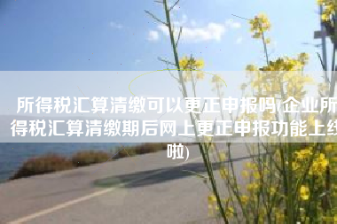 所得税汇算清缴可以更正申报吗(企业所得税汇算清缴期后网上更正申报功能上线啦)