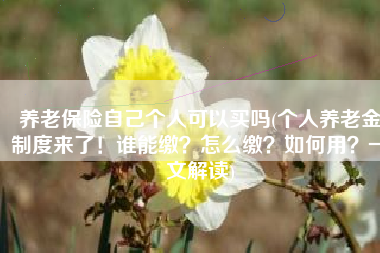 养老保险自己个人可以买吗(个人养老金制度来了！谁能缴？怎么缴？如何用？一文解读)